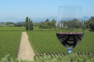 Californian Wine Tasting and Tour: Napa & Sonoma