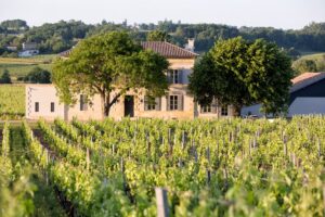 French Wine Tasting and Tour